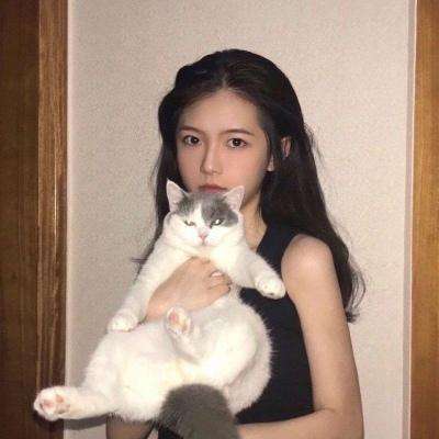 武林hd最新版下载